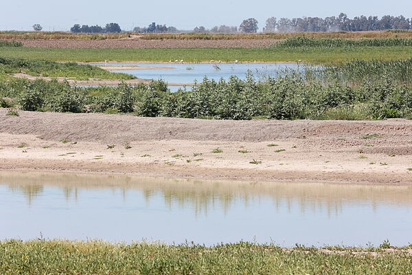 Ejercer liderazgo climático ofrece oportunidades financieras millonarias