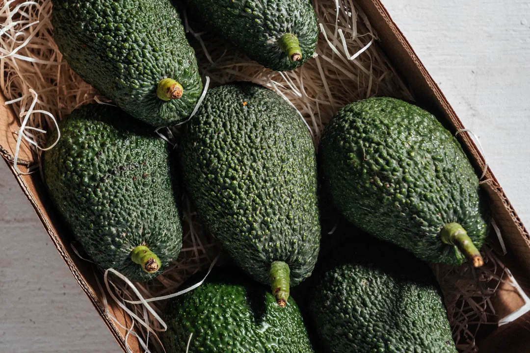 El aguacate, la gran revelación agroalimentaria