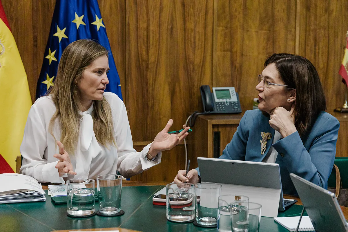 El Gobierno lanza una cruzada para eliminar cien eléctricas  fantasma 