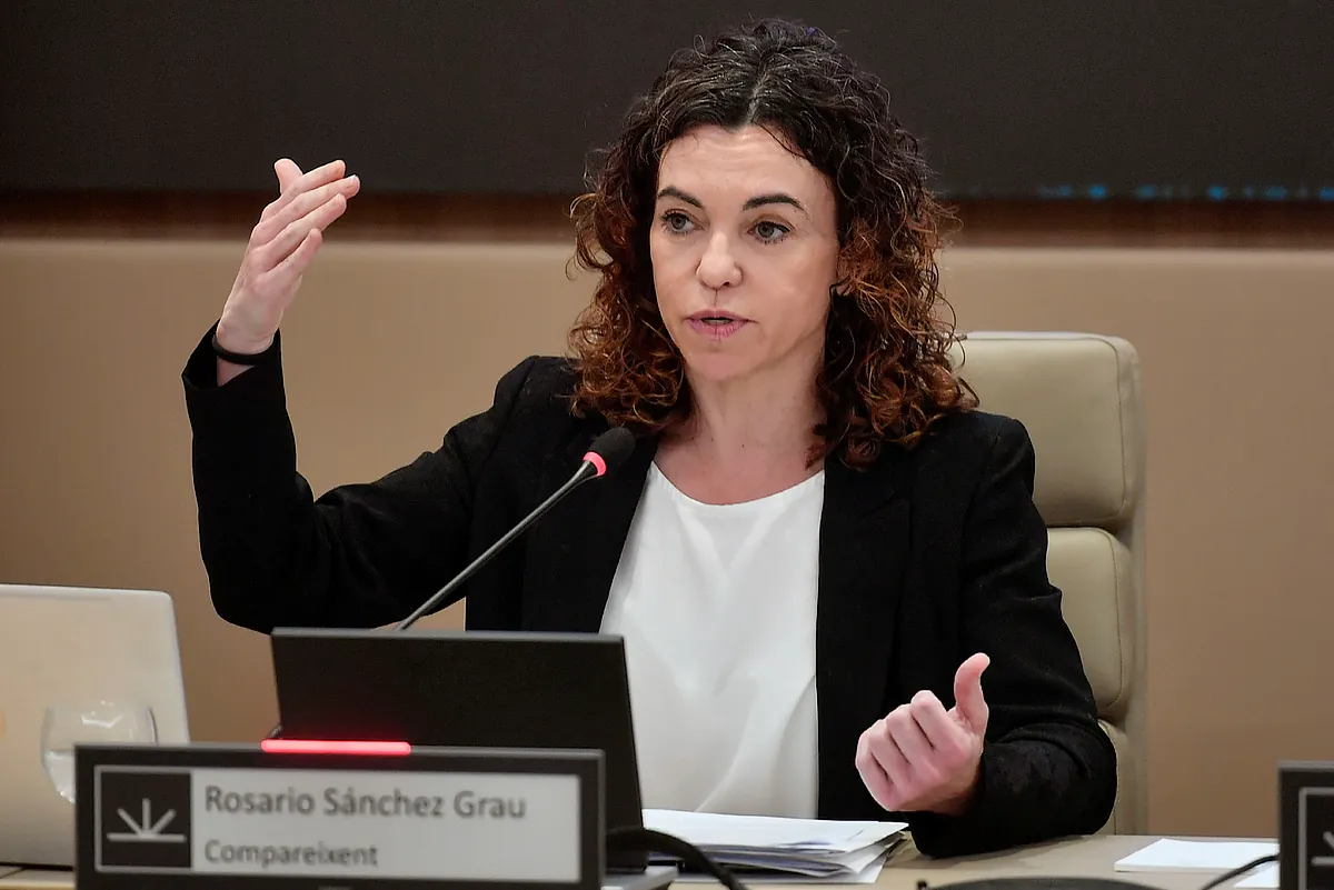 Sánchez Grau:  Tasas turísticas y la limitación de plazas son herramientas contra la saturación 