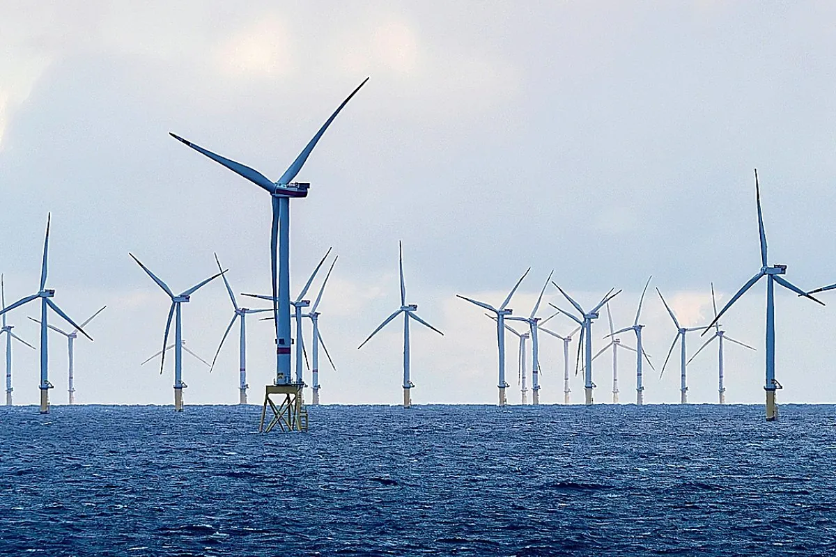 Quién es Quién en la Energía en 2025: los protagonistas de un sistema en  efervescencia | Especiales