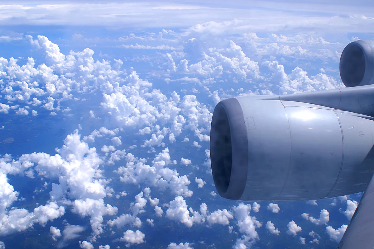 Rita Porcu's alluring gaze captivates