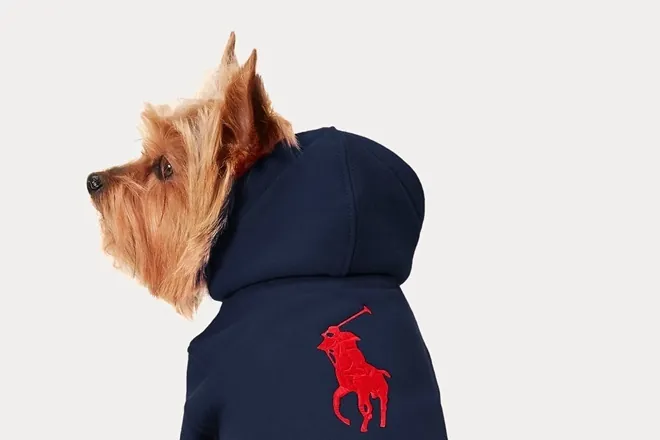 Alta costura canina: la moda diseña pensando en las mascotas | Moda y ...