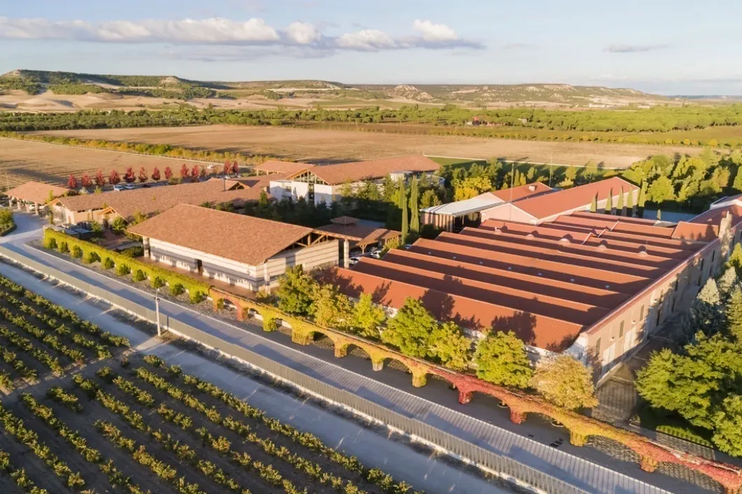 Así funciona el cotizado mercado de los  fine wines 