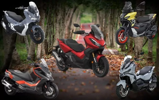 amp-expansion-com.cdn.ampproject.org