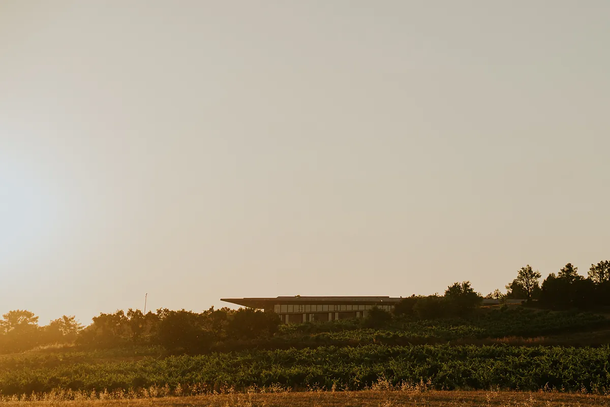 La mejor arquitectura se refugia en la viña
