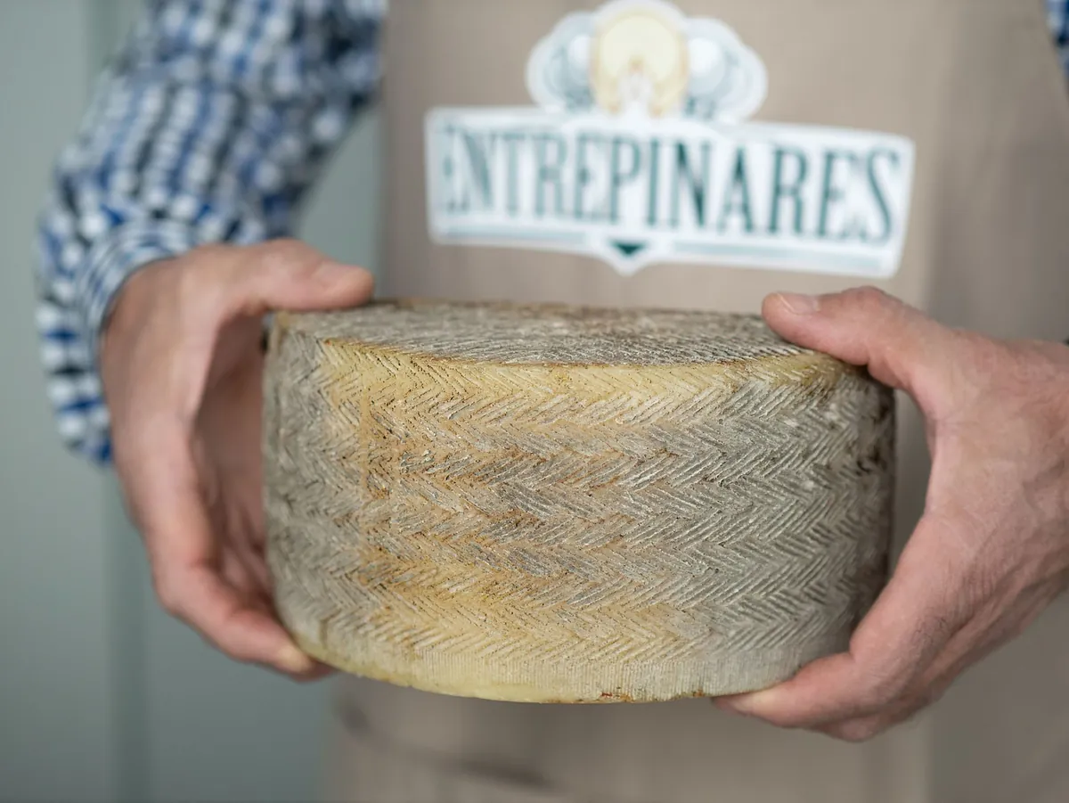 Grupo Entrepinares moderniza su núcleo tecnológico con SAP S/4HANA y la ayuda de Altim