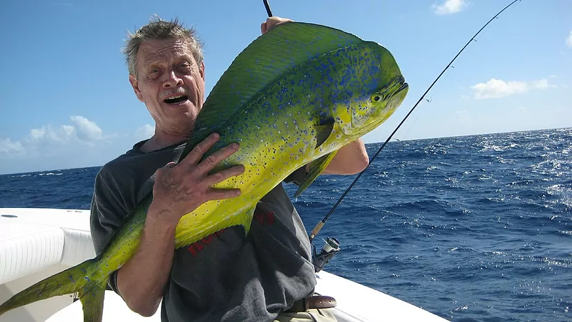 pez dorado azul