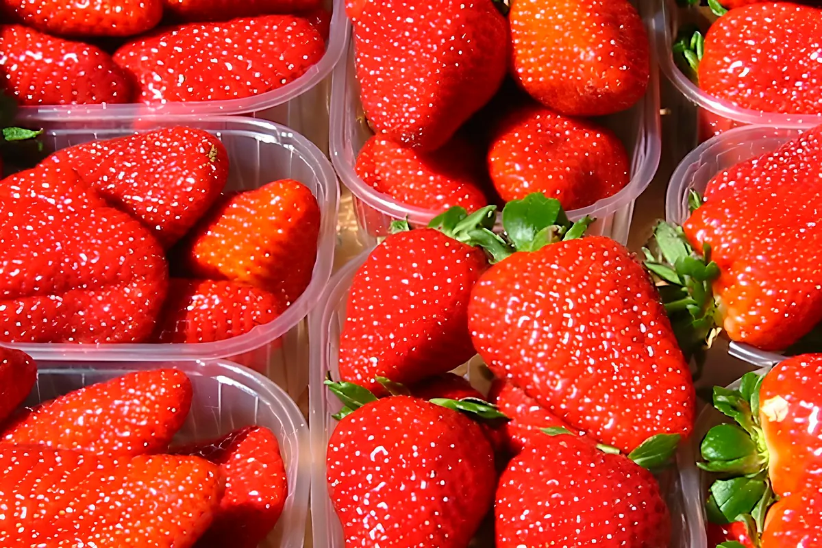 Javier Botín y Azora excluyen el negocio de castañas en la compra de Arofa