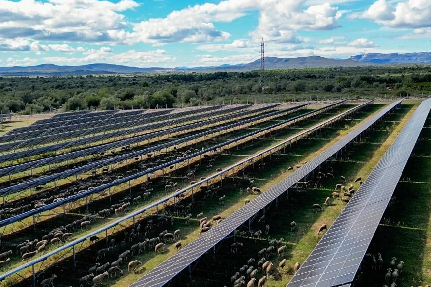Prosolia compra cinco parques solares a EDP Renováveis