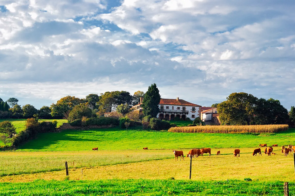 El interés por las fincas rústicas lleva las compras a máximos desde 2007
