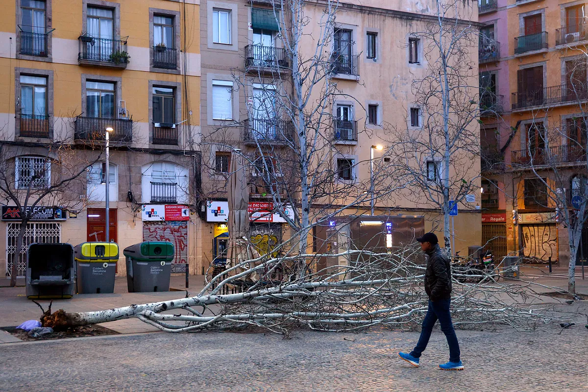 Borrasca Nils: el temporal de viento extremo obliga a suspender clases y cancelar vuelos