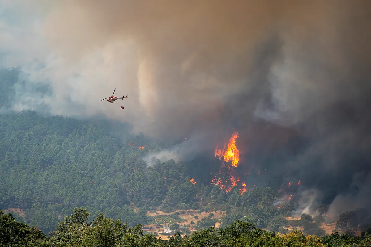 La UME asegura que el incendio entre Ávila y Madrid está contenido, aunque mantiene «cabezas activas»