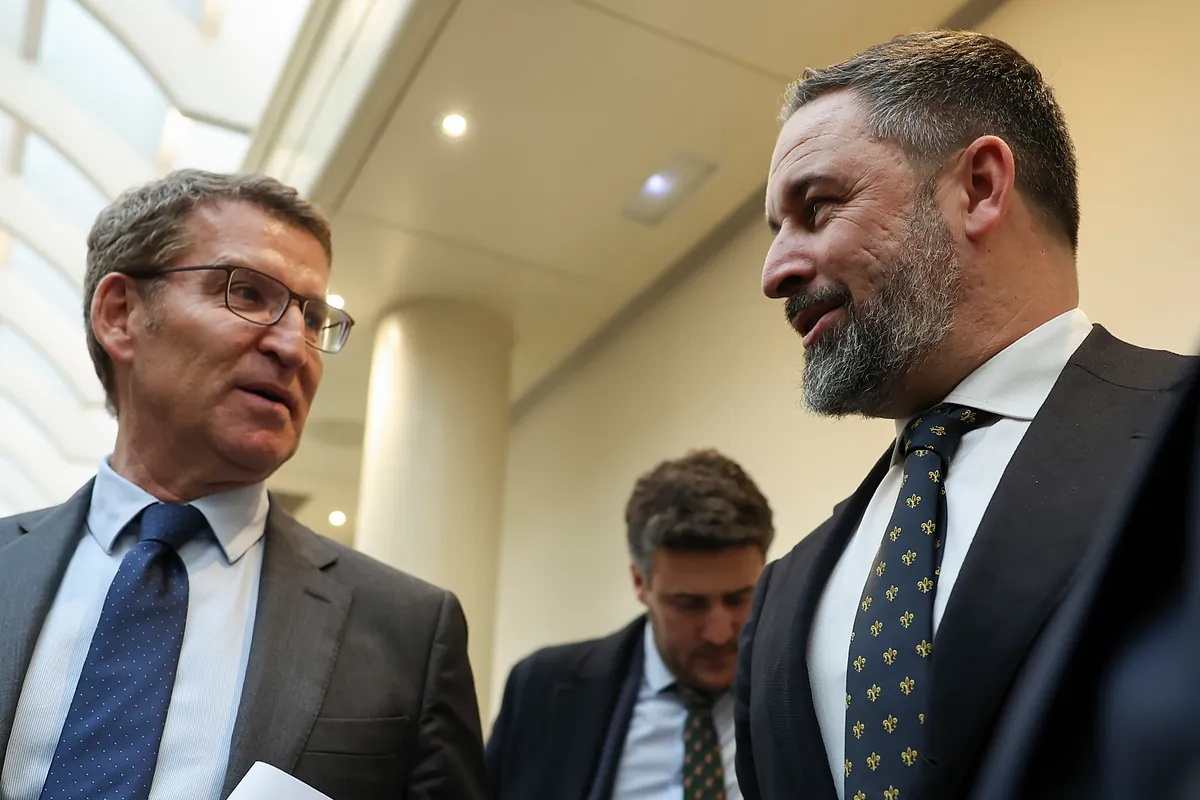 Feijóo y Abascal cierran un pacto en el Senado: Vox no se presenta en seis provincias y el PP no lo hará en tres
