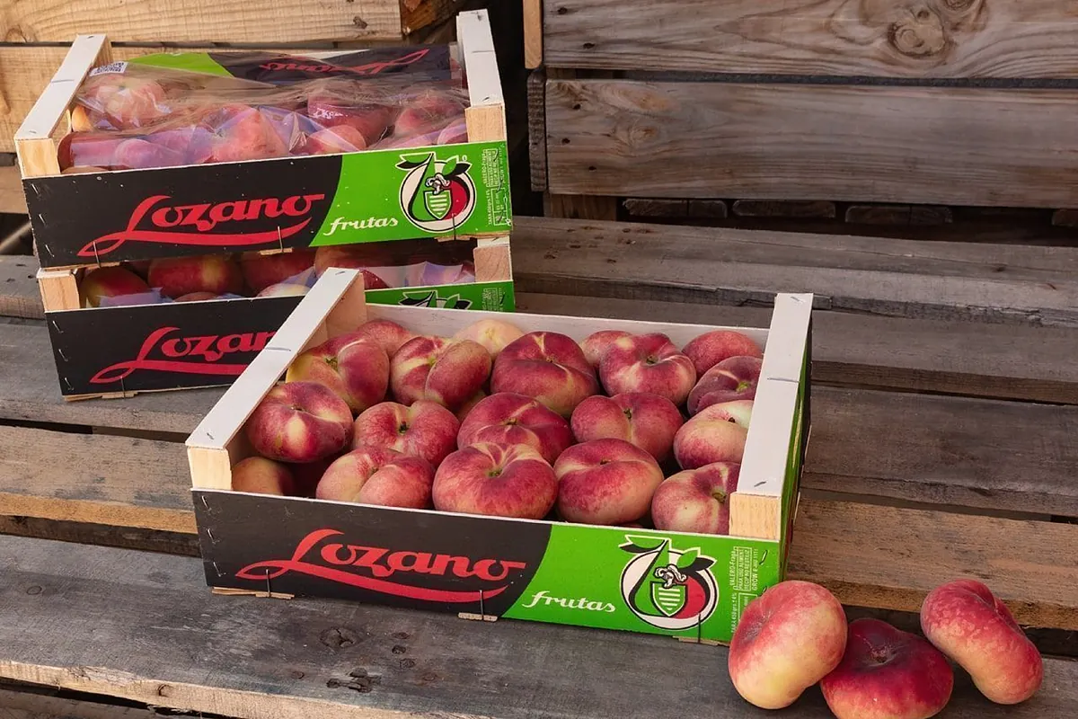 Spanish court approves Frutas Lozano debt restructuring